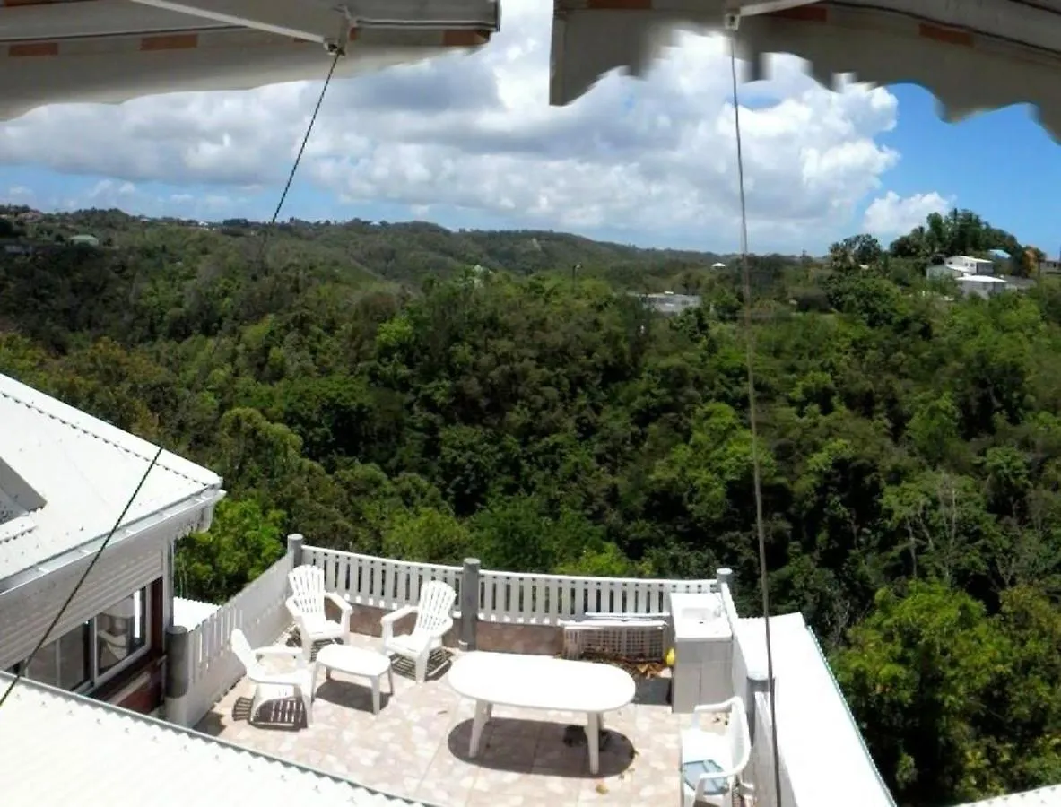 Studio Confortable Au Gosier 20 M² Vue Sur Jardin Le Gosier  Apartment Le Gosier (Grande-Terre)