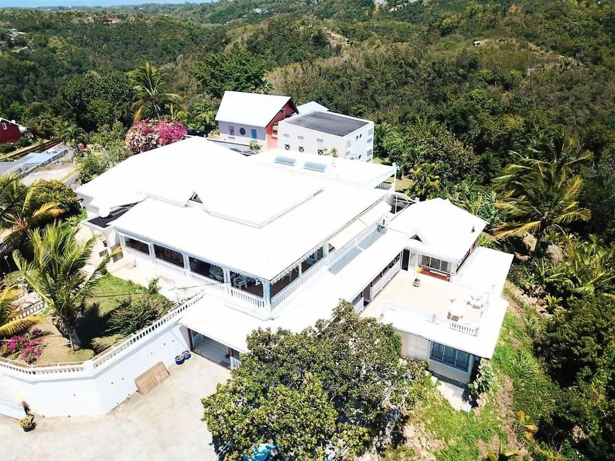 Studio Confortable Au Gosier 20 M² Vue Sur Jardin Le Gosier  Guadeloupe